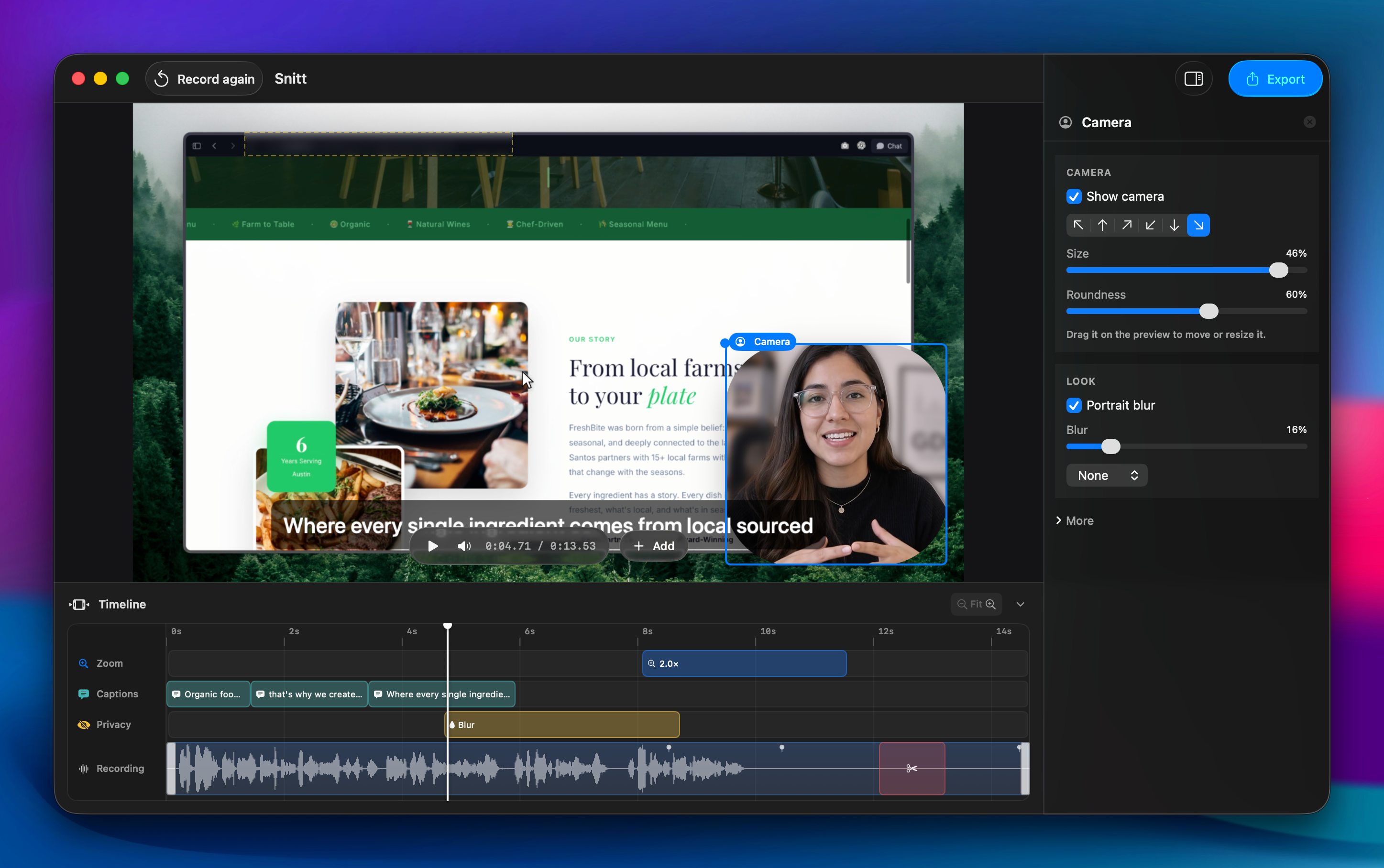 Ocelo's native editor with its canvas, inspector and named timeline lanes